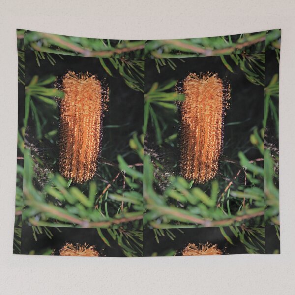 Item preview, Beaut Banksia designed and sold by KazM.