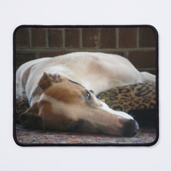 Item preview, Greyhound laying on rug designed and sold by Rebekah  McLeod.