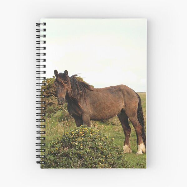 Item preview, The Ridiculously Photogenic Dartmoor Pony designed and sold by Martha Sherman.