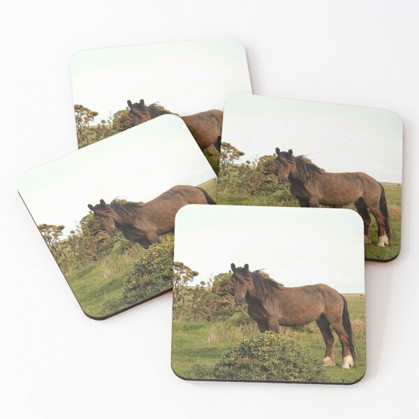 Item preview, The Ridiculously Photogenic Dartmoor Pony designed and sold by Martha Sherman.