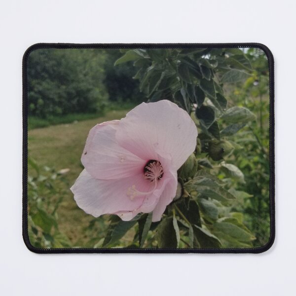 Item preview, Hidden Hibiscus  designed and sold by ArcSpectre.