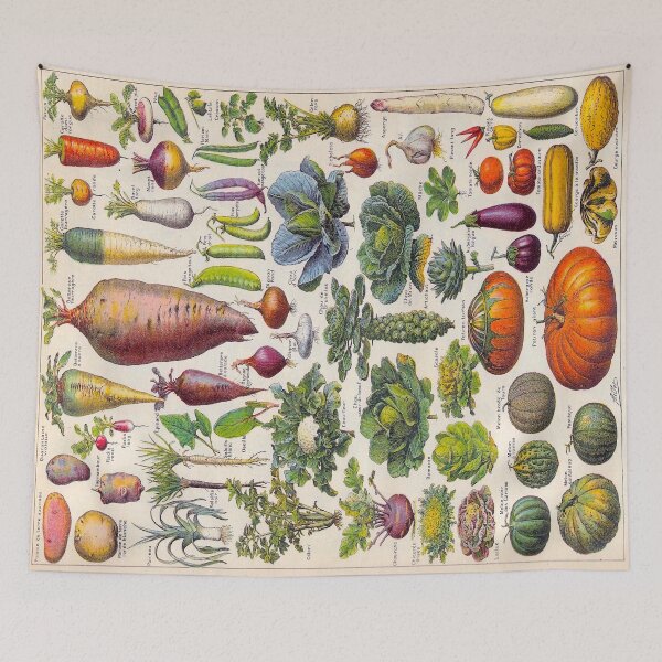 Item preview, Adolphe Millot Vegetables Larousse Encyclopedia Vintage Scientific Illustration Educational Lithograph designed and sold by Ejaaz.
