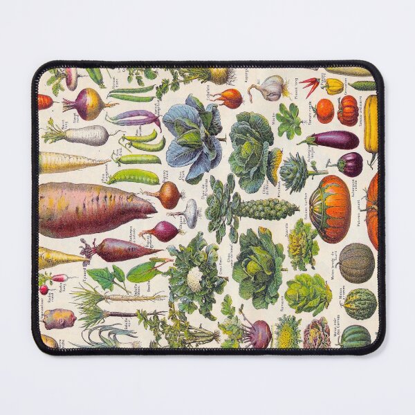 Item preview, Adolphe Millot Vegetables Larousse Encyclopedia Vintage Scientific Illustration Educational Lithograph designed and sold by Ejaaz.