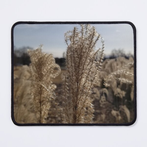 Item preview, Chinese Silver Grass designed and sold by ArcSpectre.