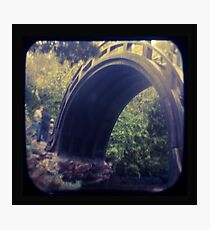 Untitled Photographic Print