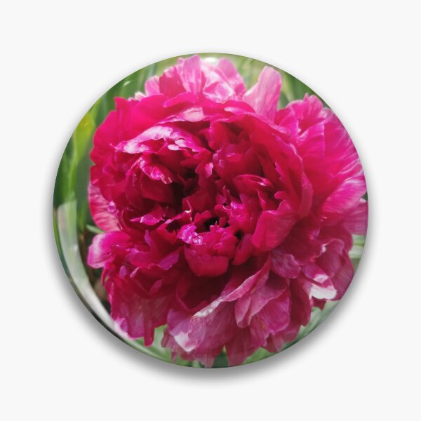 Item preview, Peonies  designed and sold by ArcSpectre.