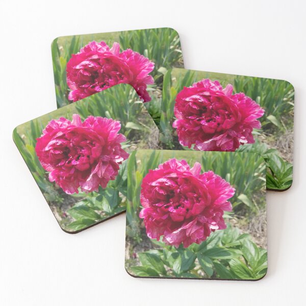 Item preview, Peonies  designed and sold by ArcSpectre.