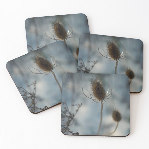 Item preview, Wild Thistle designed and sold by lghtwrkr.
