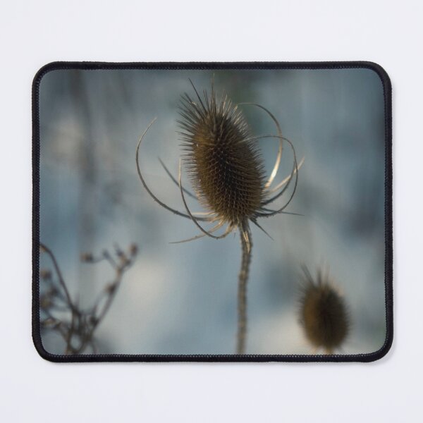 Item preview, Wild Thistle designed and sold by lghtwrkr.