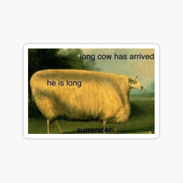 "Long cow has arrived, he is long meme" Sticker for Sale by brookeisanerd Redbubble