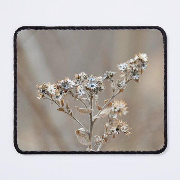 Item preview, Beautiful Things designed and sold by lisapicklepizza.