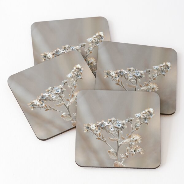 Item preview, Beautiful Things designed and sold by lisapicklepizza.