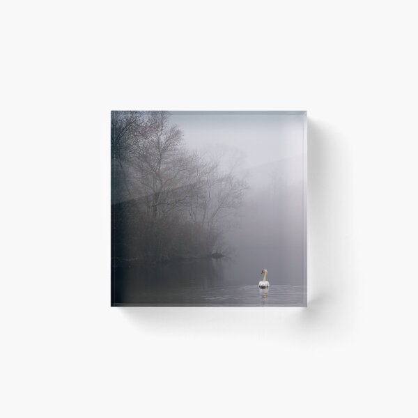 Item preview, Lone Traveler Through The Fog designed and sold by RussellsArtMart.