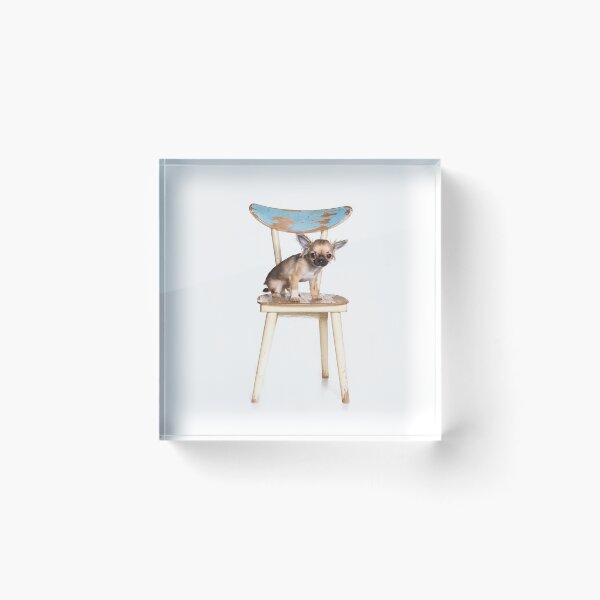 Item preview, Chihuahua dog sitting on a chair (isolated on white) designed and sold by utekhina.
