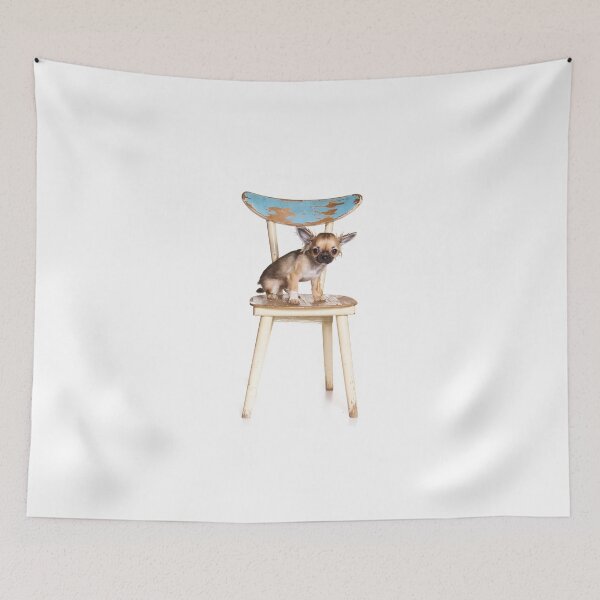 Item preview, Chihuahua dog sitting on a chair (isolated on white) designed and sold by utekhina.