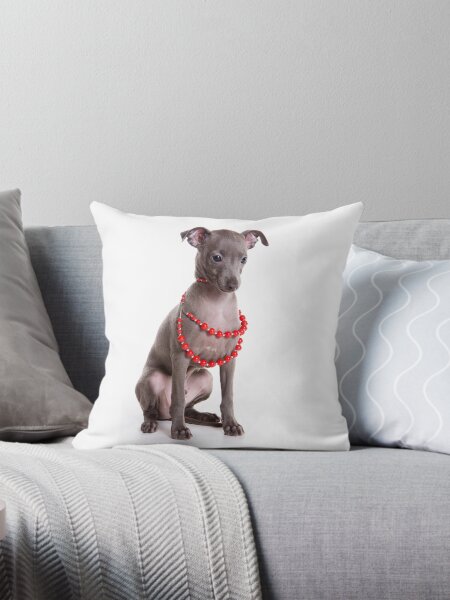 Item preview, Italian greyhound dog and red beads (isolated on white) designed and sold by utekhina.