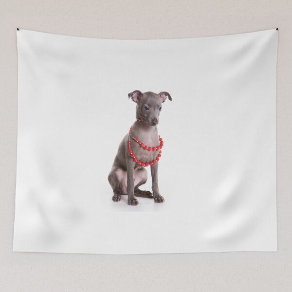 Item preview, Italian greyhound dog and red beads (isolated on white) designed and sold by utekhina.