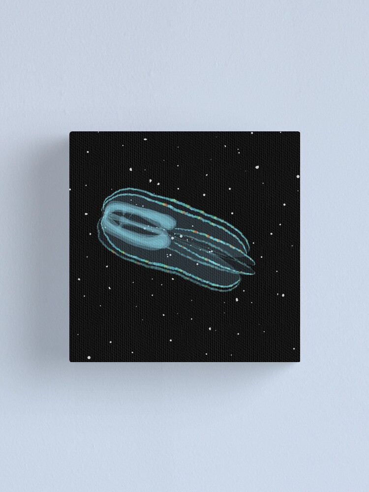 Alternate view of Bolinopsis infundibulum comb jelly Canvas Print