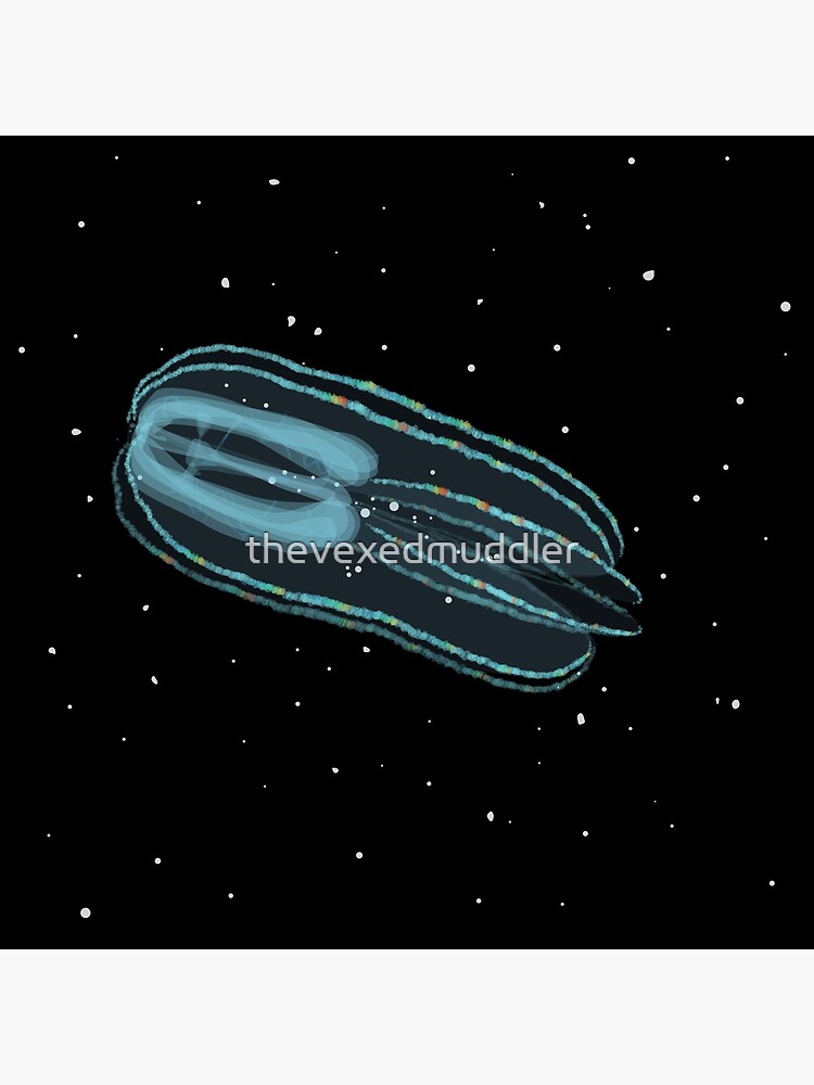 Bolinopsis infundibulum comb jelly by thevexedmuddler