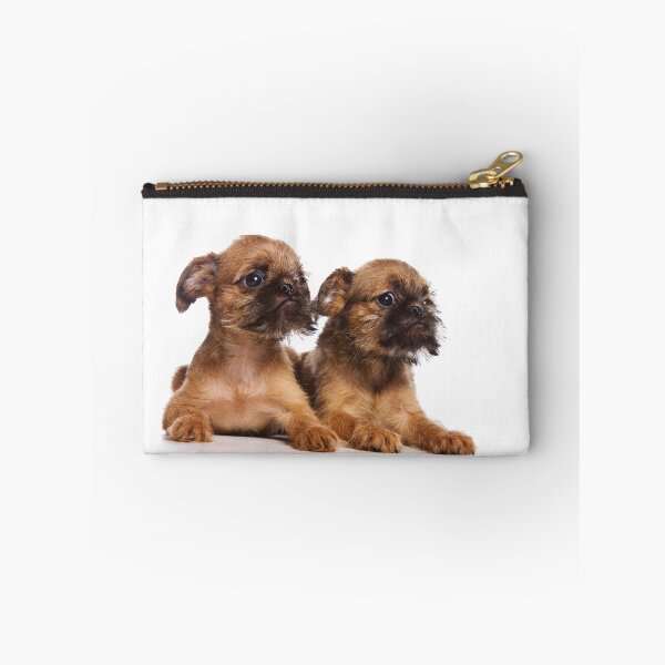 Item preview, Two Griffon puppy dog (isolated on white) designed and sold by utekhina.