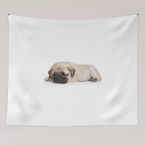 Item preview, Puppy pug (isolated on white) designed and sold by utekhina.