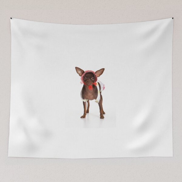 Item preview, Dog Toy Terrier glamorous clothing (isolated on white) designed and sold by utekhina.