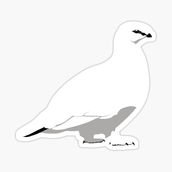 Rock Ptarmigan - winter Sticker