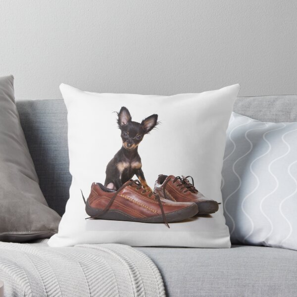 Item preview, Toy Terrier dog and shoes (isolated on white) designed and sold by utekhina.