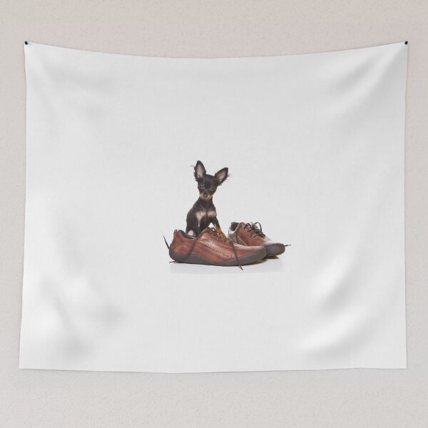 Item preview, Toy Terrier dog and shoes (isolated on white) designed and sold by utekhina.