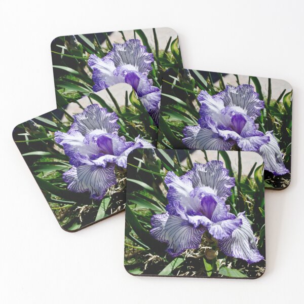 Item preview, iris Tarjetas de felicitación designed and sold by Nate Ober.