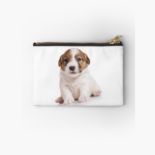 Item preview, Puppy Dog Jack Russell Terrier (isolated on white) designed and sold by utekhina.