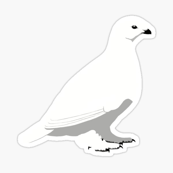 Item preview, White-tailed Ptarmigan - winter designed and sold by BennuBirdy.