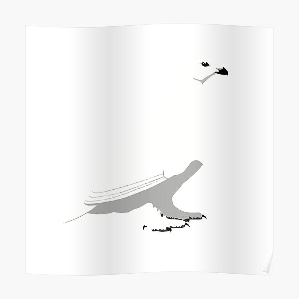 White-tailed Ptarmigan - winter Poster