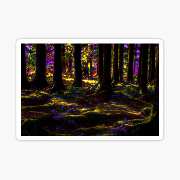 mystical forest.... by Phil Darby Sticker