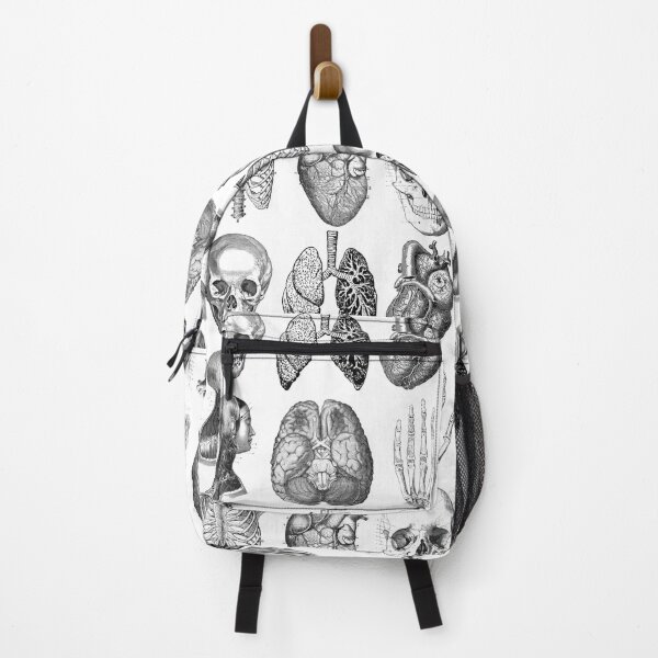 Item preview, Anatomical Heart Skull Lungs and Brains Human Anatomy for Med Student designed and sold by mysticblvd.