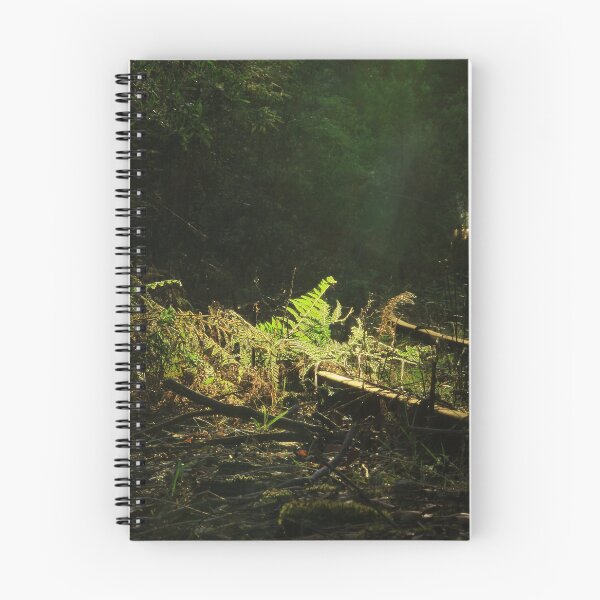 Item preview, Lone Dusk on Myalla Train line designed and sold by phillip wise.