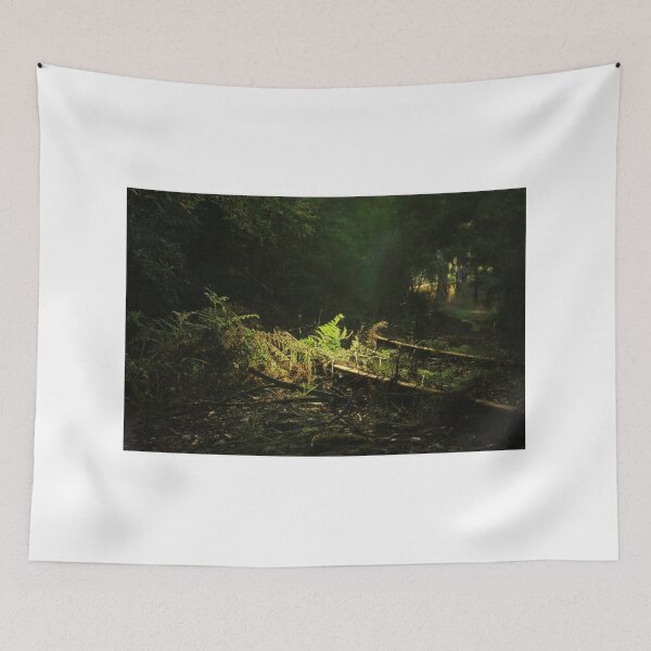 Item preview, Lone Dusk on Myalla Train line designed and sold by phillip wise.
