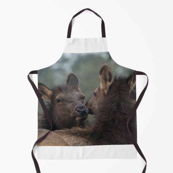 Item preview, Roosevelt Elk cows nuzzling each other designed and sold by Steven Holt.
