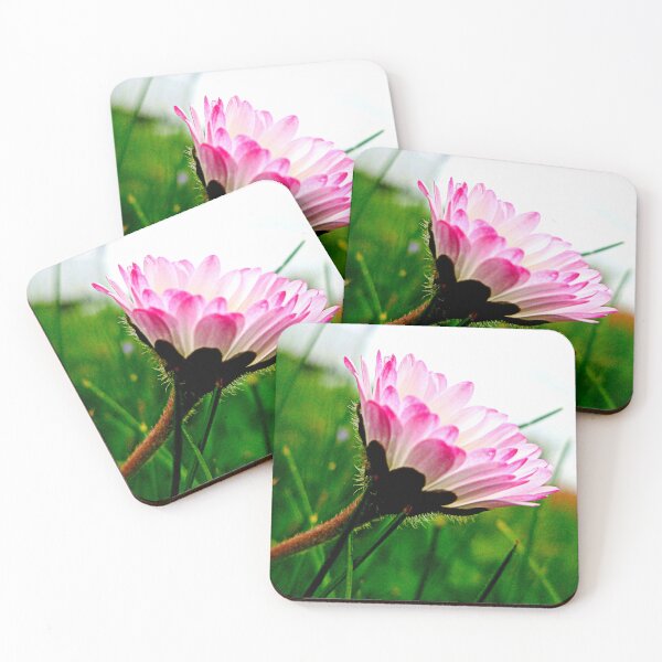 Item preview, Pink Daisy ~ Bellis perennis designed and sold by angel1.