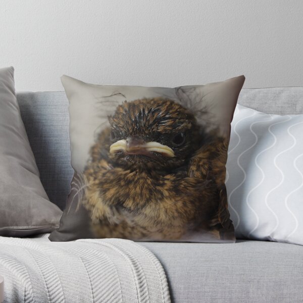 Baby Robin Throw Pillow