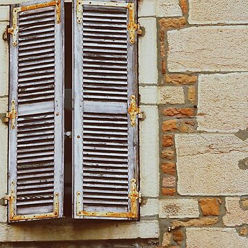 Aperçu de l'œuvre Volets anciens dans un bâtiment français à Macon de CarolinaReina