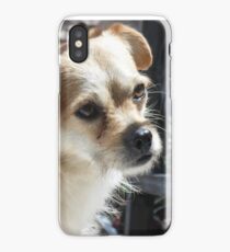 Cute Dog iPhone Case