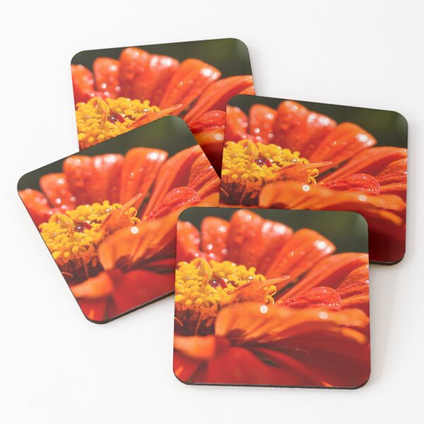 Item preview, Zinnia after the rain  designed and sold by GabrielaMoments.