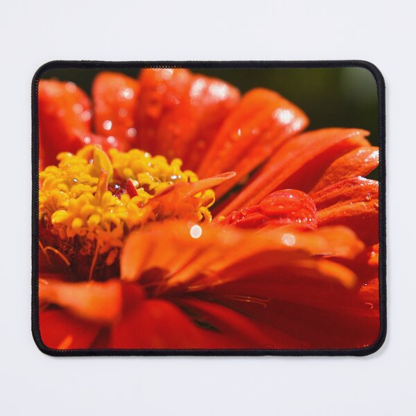 Item preview, Zinnia after the rain  designed and sold by GabrielaMoments.