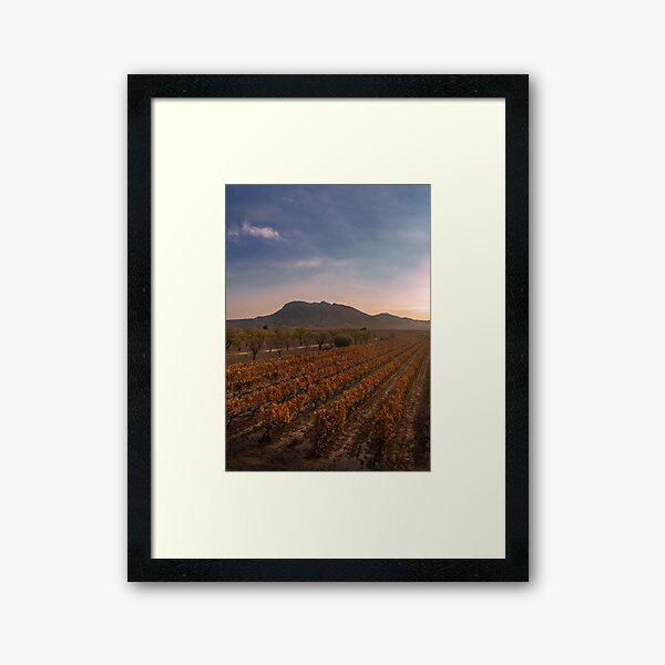 Item preview, Mountain Vines  designed and sold by Ralph Goldsmith.