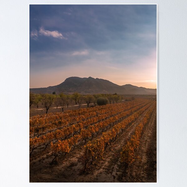 Item preview, Mountain Vines  designed and sold by Ralph Goldsmith.
