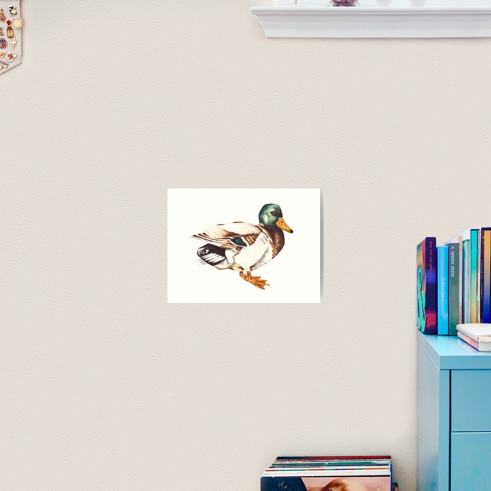 Mallard Duck Watercolor Painting Art Print