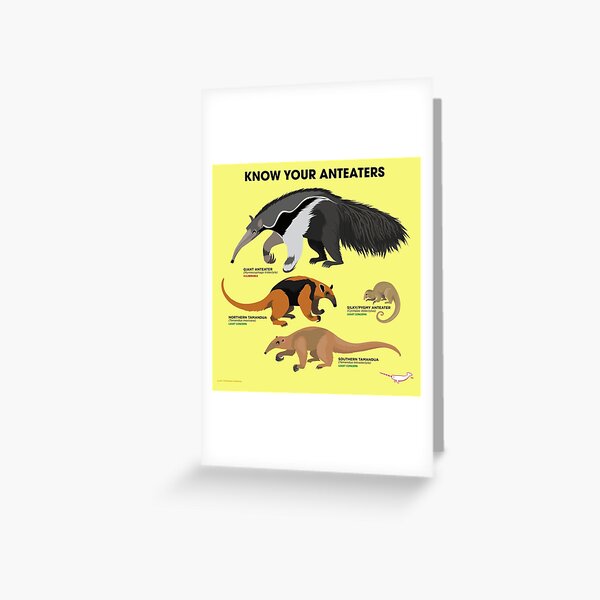 Item preview, Know Your Anteaters designed and sold by Peppermint Narwhal.