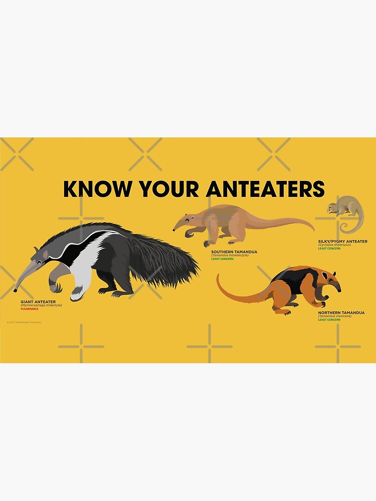 Thumbnail 4 of 4, Coffee Mug, Know Your Anteaters designed and sold by PepomintNarwhal.