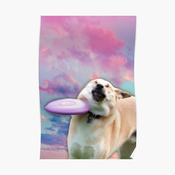 Frisbee Doge Poster